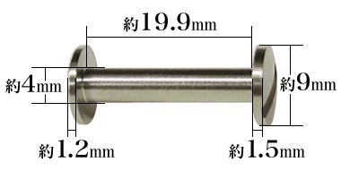 ネジビス9×4×20mmの寸法サイズ